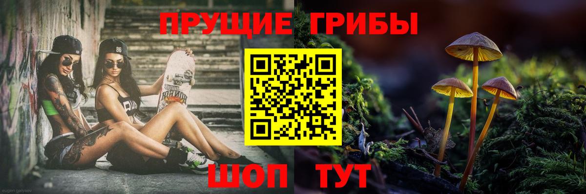 Псилоцибиновые грибы Magic Shrooms  Галлюциногенные грибы Psilocybe  Вход с VPN  Котовск 